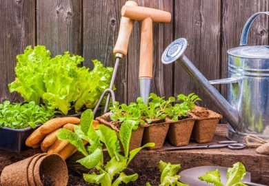 Looking To Improve Your Garden? Keep reading For Handy Tips!