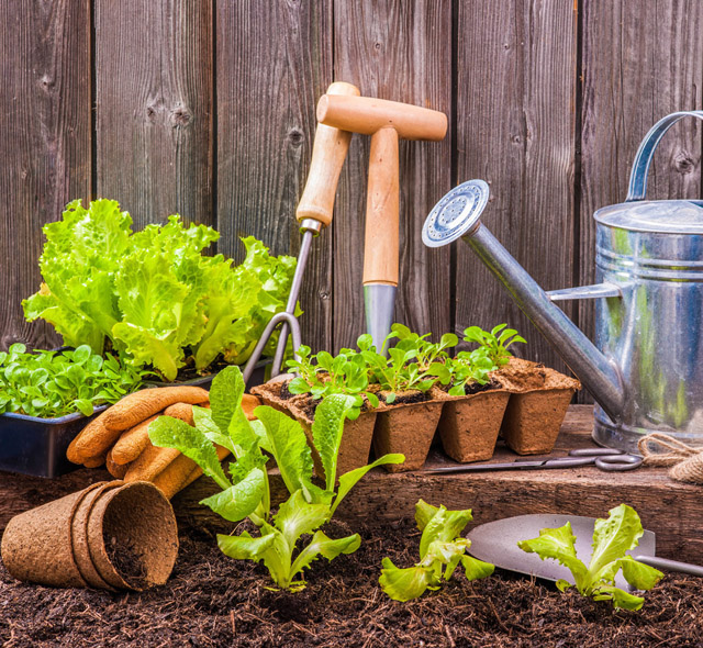 Looking To Improve Your Garden? Keep reading For Handy Tips!