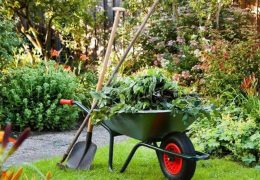 Just How Organic Gardening Can Aid You Prosper And Make it through