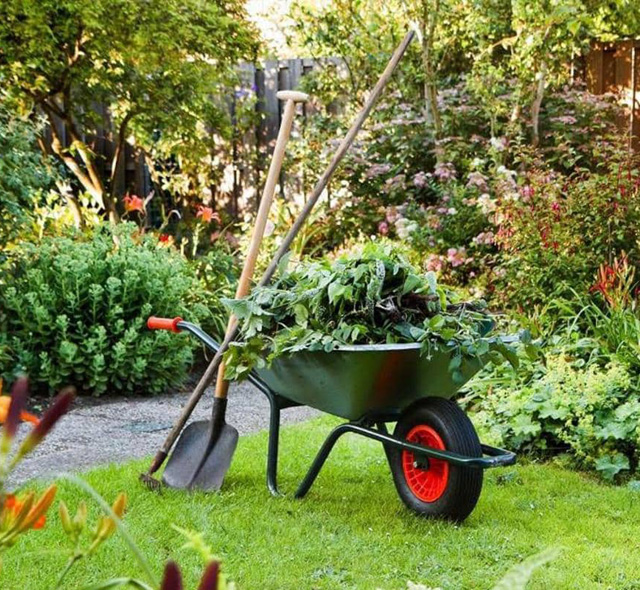 Just How Organic Gardening Can Aid You Prosper And Make it through