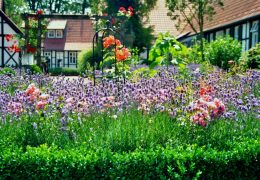 Make The Most Of Your Organic Yard with these recommendations