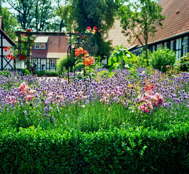 Make The Most Of Your Organic Yard with these recommendations